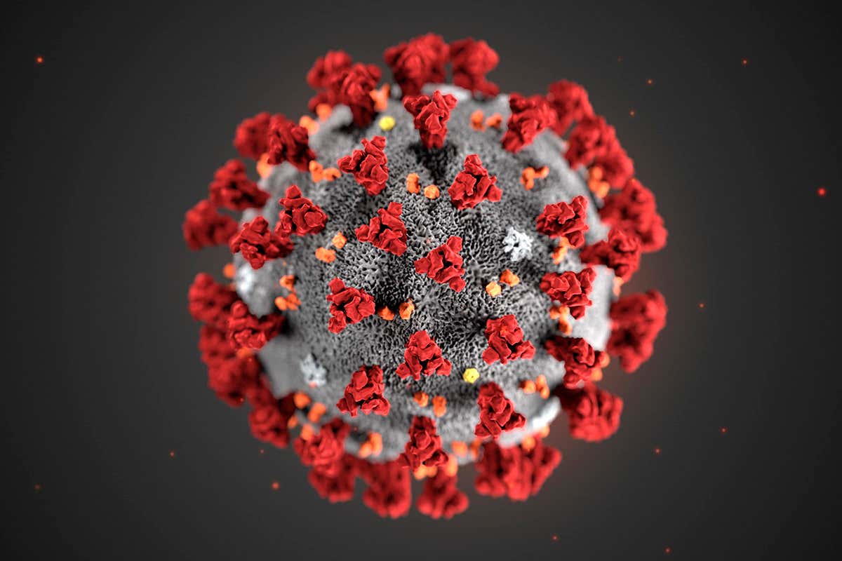 coronavirus