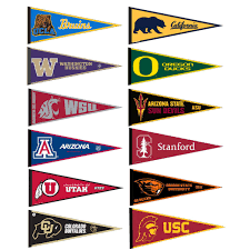 Image result for College pennant