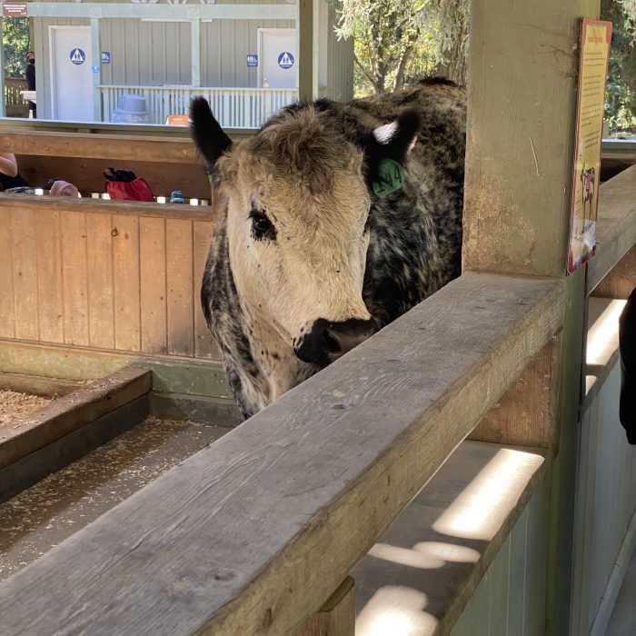 IMG_0290 - Sahir Briseno