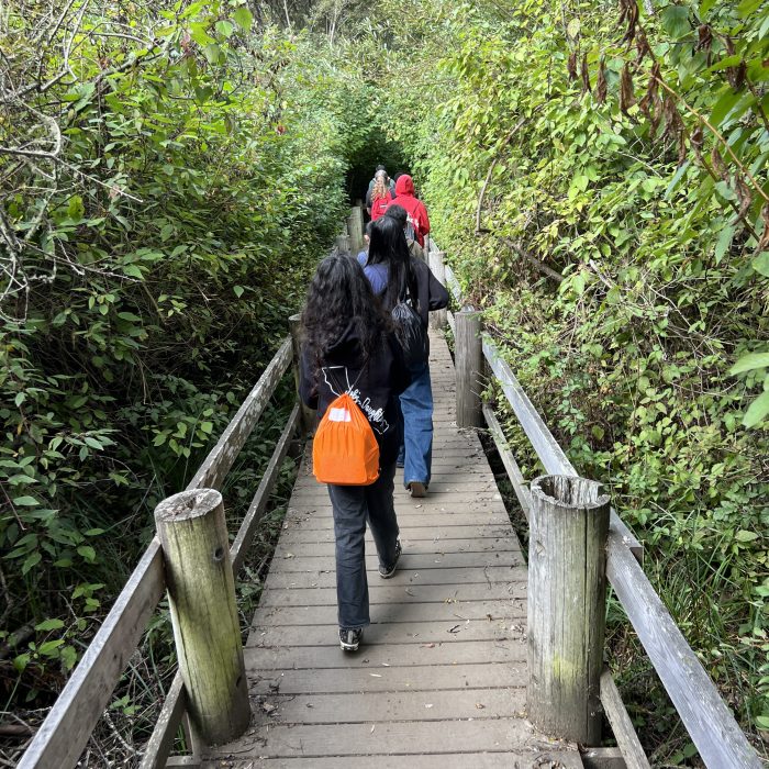 IMG_0301 - Michelle Taylor