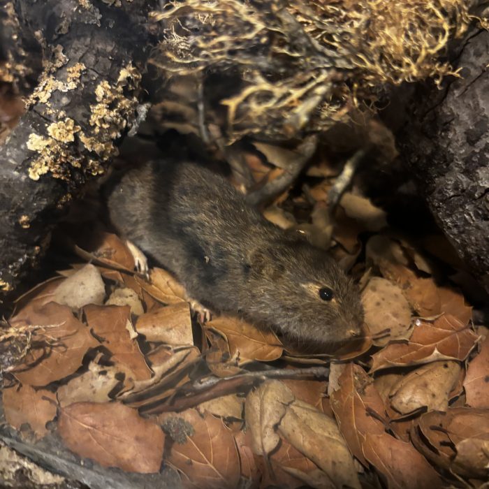 IMG_7845 - Abigail Garcia